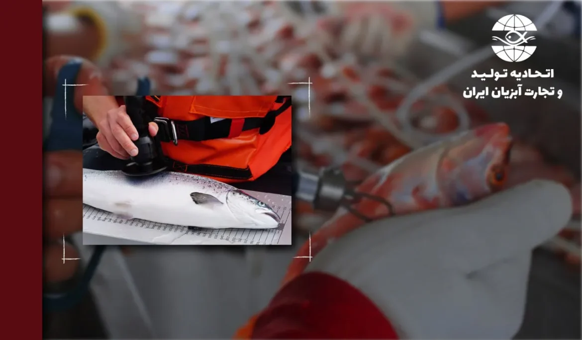 Onda مدل‌های مطالعه Tenacibaculum خود را گسترش داد تا سلامت آبزی‌پروری را در سطح جهان بهتر حمایت کند