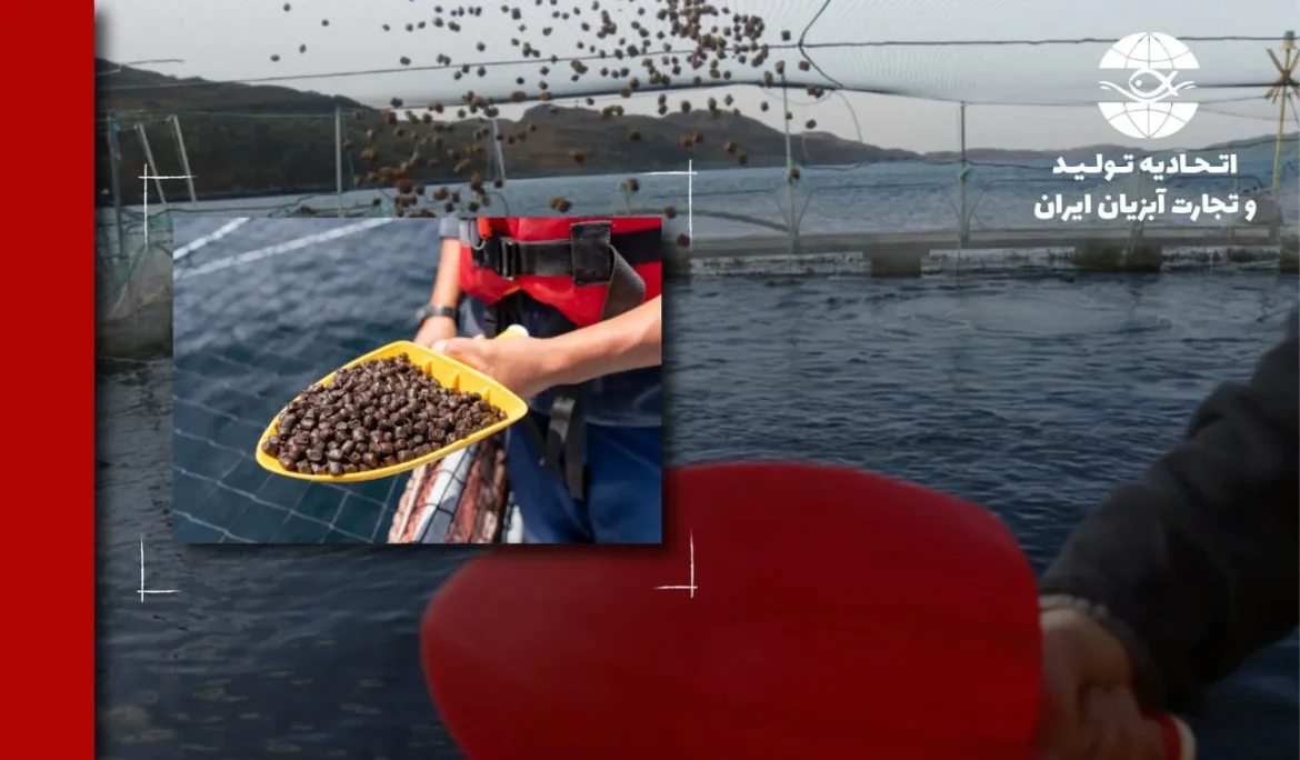 چگونه تخمیر حالت جامد (Solid-State Fermentation) ارزش غذایی را در آبزی‌پروری افزایش می‌دهد