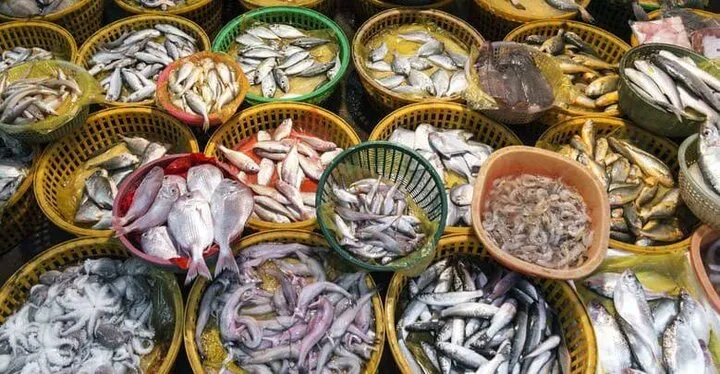 Stellar Performance of Iranian Seafood and related products Exports to Neighboring Countries in 2024-2025