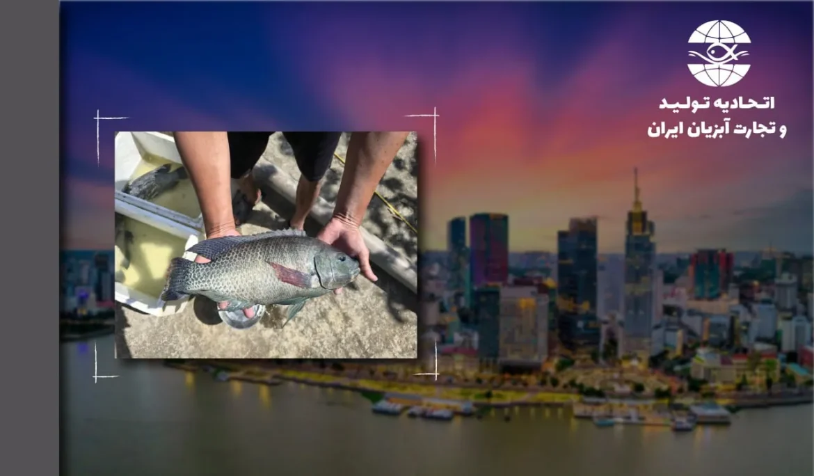 ویتنام: رشد سه برابری صادرات تیلاپیا  و هدف‌گذاری برای تبدیل به یک صنعت کلیدی جدید