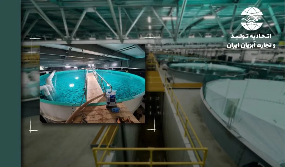 هشدار بهداشتی برای سامانه‌های آبزی‌پروری مدار بسته: انتقال هوابرد عوامل بیماری‌زا یک خطر واقعی محسوب می‌شود