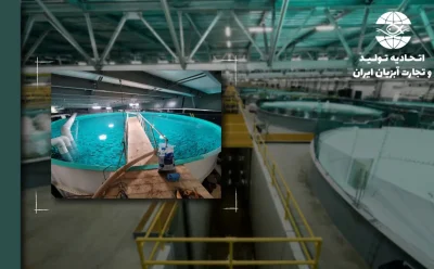 هشدار بهداشتی برای سامانه‌های آبزی‌پروری مدار بسته: انتقال هوابرد عوامل بیماری‌زا یک خطر واقعی محسوب می‌شود