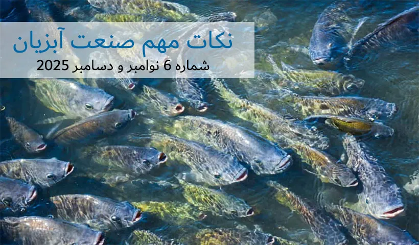 نکات مهم صنعت آبزیان برگرفته از بخش Industry Note مجله INFOFISH International شماره 6 نوامبر و دسامبر 2025
