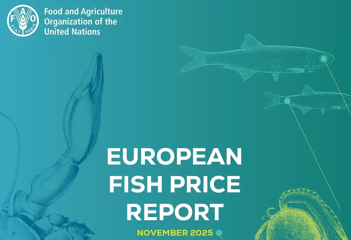 آخرین اخبار شماره 11 EUROPEANPRICE REPORT نوامبر 2025 از وضعیت بازار و قیمت های آبزیان در اروپا
