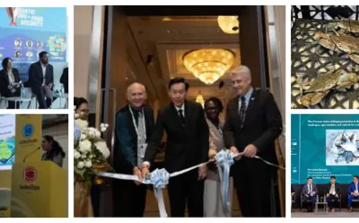 گزارش دهم از سلسله ترجمه های شماره 6 (نوامبر و دسامبر )مجله اینفوفیش 2025