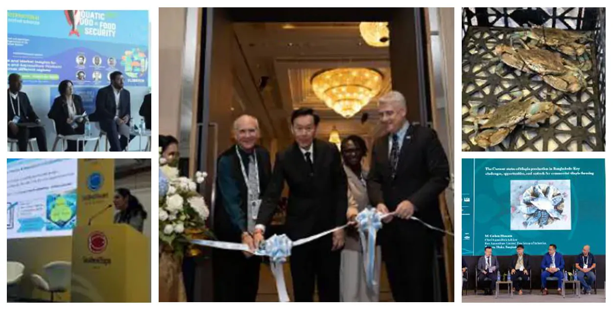 گزارش دهم از سلسله ترجمه های شماره 6 (نوامبر و دسامبر )مجله اینفوفیش 2025