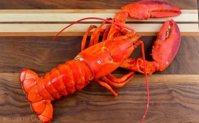 آمارهایی از واردات و صادرات لابستر در جهان 2022-2024 به نقل از مجله گلابفیش شماره 2 سال 2025