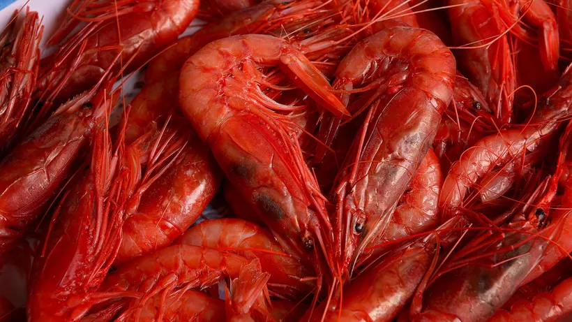 آخرین وضعیت تولید و بازار میگوی پرورشی جهان