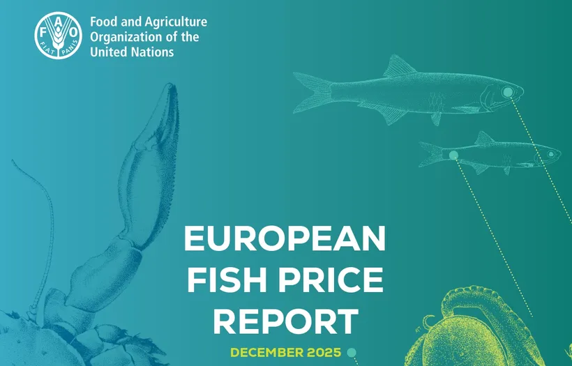 اخبار آخرین EUROPEANPRICE REPORT در دسامبر 2025 از وضعیت بازار و قیمت های آبزیان در اروپا