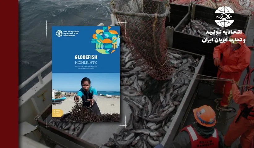 بخش دوم از ترجمه جامع شماره 4 مجله GLOBEFISH  2025 GLOBEFISH HIGHLIGHTS   International markets for fisheries and aquaculture products 4 ISSUE 2025 منتشر شده در ژانویه  2026 همراه با آمار دوره ژانویه تا ژوئن ۲۰۲۵