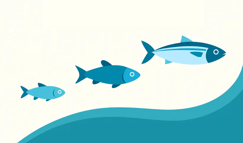 گزارش بخش Commodity Update گونه‌های سطح‌زی کوچک (Pelagics) در شماره اول نشریه اینفوفیش در سال  ۲۰۲۶