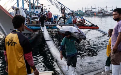 ترجمه جامع شماره 4 مجله GLOBEFISH  2025   GLOBEFISH HIGHLIGHTS   International markets for fisheries and aquaculture products  4 ISSUE 2025 منتشر شده در January–June 2026