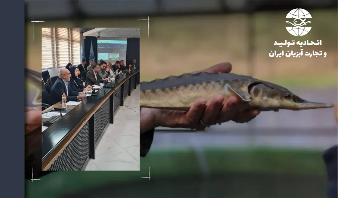 گزارش دوم از مجموعه وبینارها و دوره آموزشی INFOFISH  برگرفته از مطالب مجله اینفوفیش شماره 4 جولای و آگوست 2026 ارائه چشم‌انداز محصولات آبزی آسیا و اقیانوسیه در کنفرانس دالیان توسط اینفوفیش