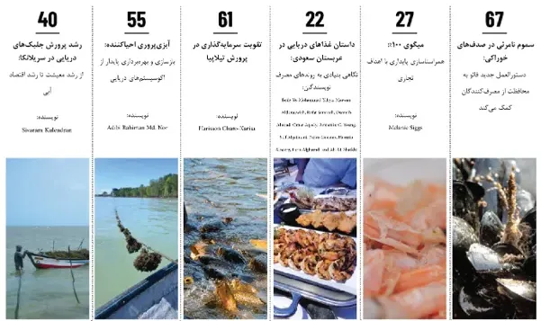 معرفی مقالات INFOFISH International – شماره ۴، سال ۲۰۲۶