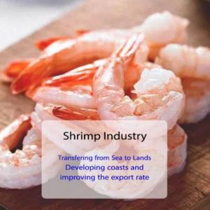 shrimp-slide